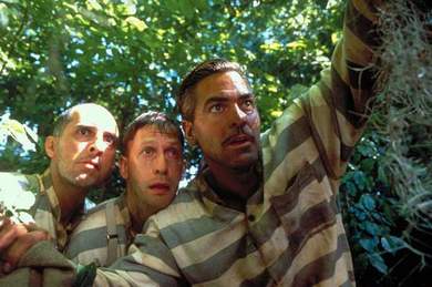 Elbląg, Bracie, gdzie jesteś?