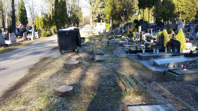 Elbląg, Takie zdjęcie wysłała do naszej redakcji jedna z Czytelniczek Elbląg, Takie zdjęcie wysłała do naszej redakcji jedna z Czytelniczek