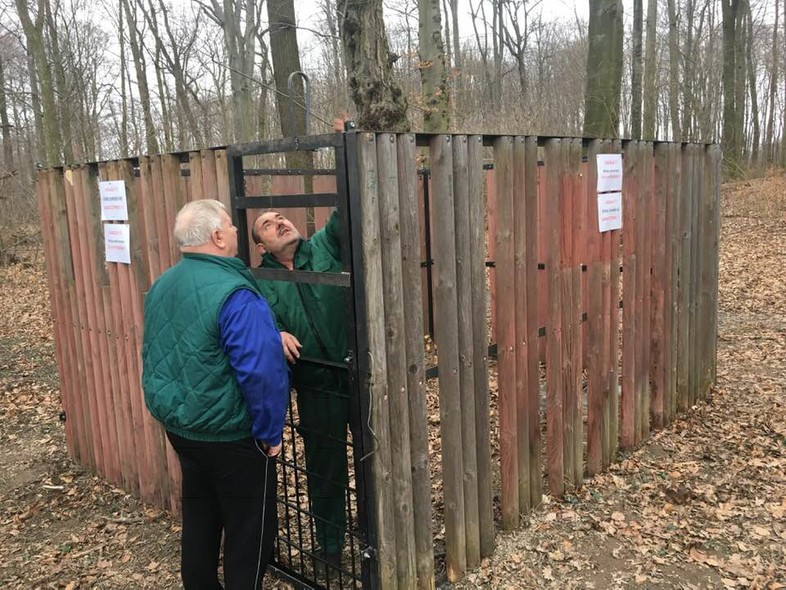 Elbląg, Uwaga na odłownie na dziki