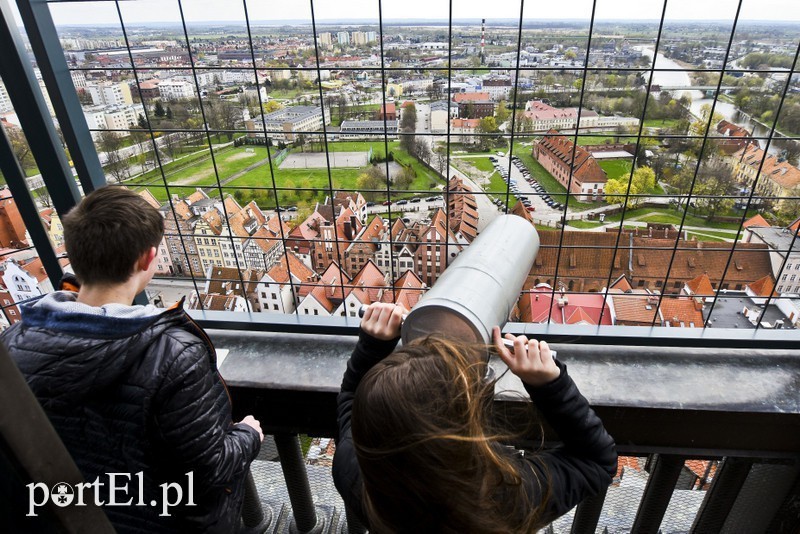 Elbląg, Jakie są widoki na gospodarczy rozwój Elbląga