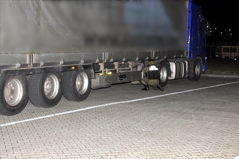 Elbląg, Sfałszowane prawo jazdy i zatrzymana naczepa