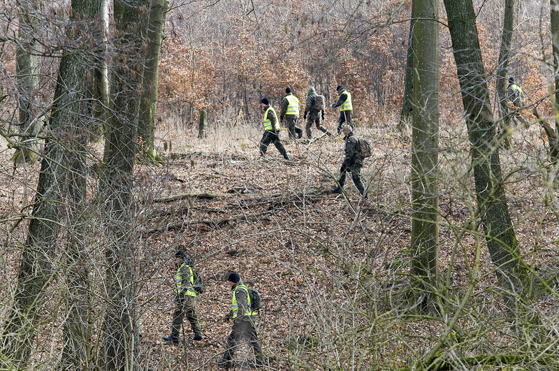 Elbląg, Trwają poszukiwania dzików zarażonych ASF