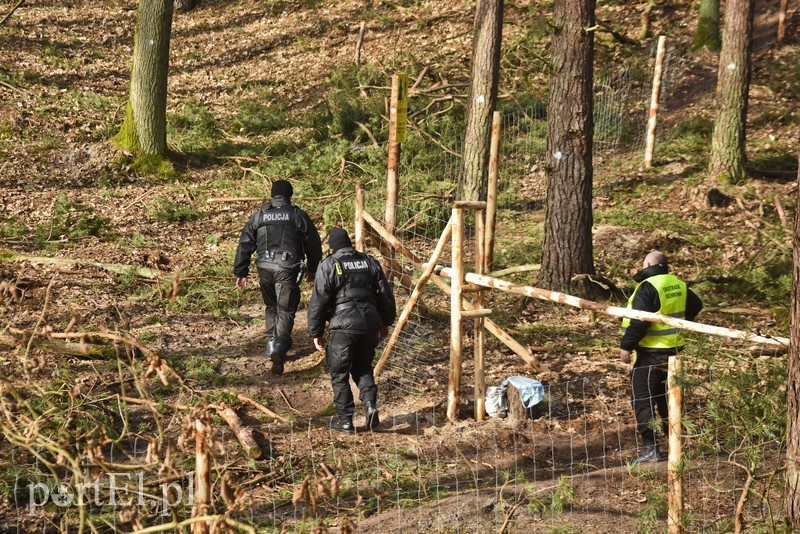 Elbląg, Zbadają bursztyn w miejscu przekopu