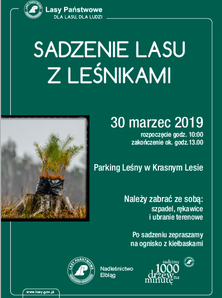 Elbląg, Posadź las z leśnikami Elbląg, Posadź las z leśnikami