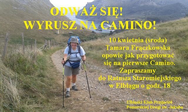 Elbląg, Wyrusz na Camino!