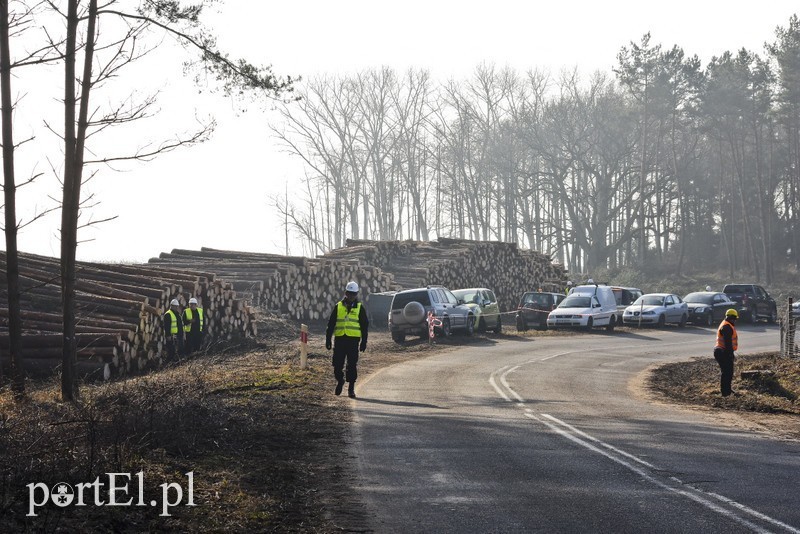 Elbląg, Miejsce wycinki lasu pod przekop Mierzei