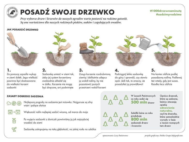 Elbląg, Cała Polska sadzi las Elbląg, Cała Polska sadzi las