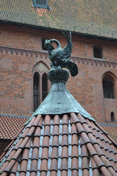 Elbląg, Pelikan wieńczący zadaszenie studni