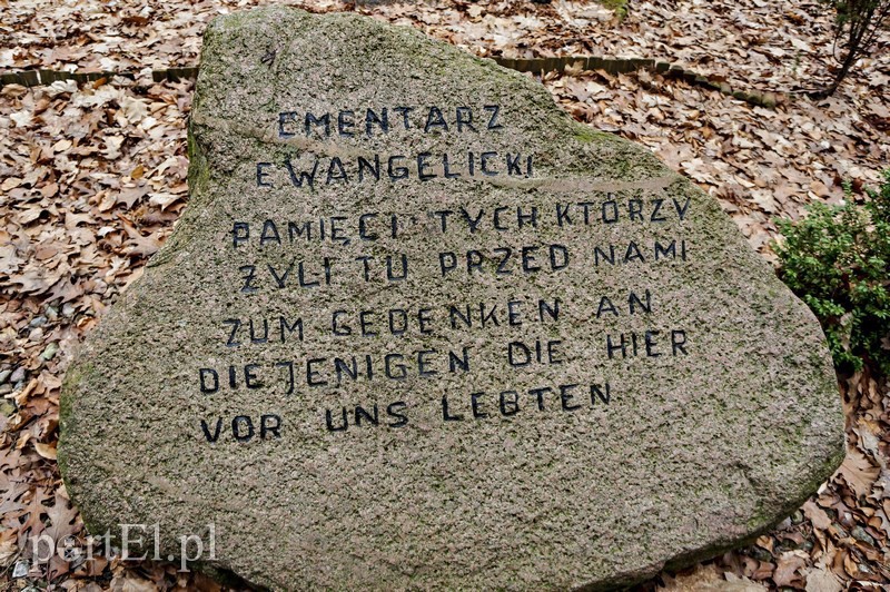 Elbląg, Pamiątkowy kamień na cmentarzu Elbląg, Pamiątkowy kamień na cmentarzu