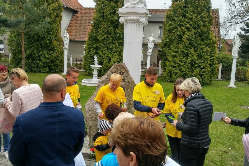 Elbląg, Żonkilowa pomoc dla elbląskiego hospicjum Elbląg, Żonkilowa pomoc dla elbląskiego hospicjum