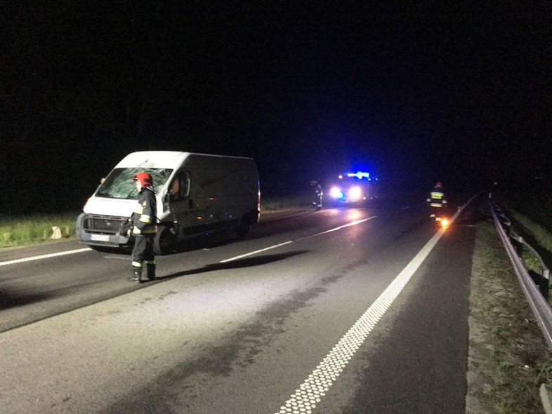 Elbląg, Zderzenie z łosiem Elbląg, Zderzenie z łosiem