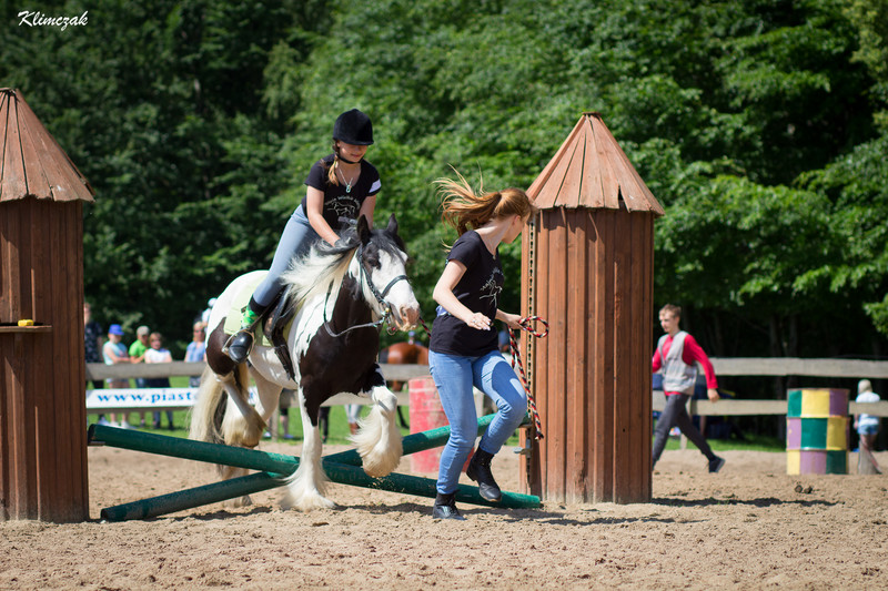 Elbląg, Pony Cup 2019 rozpoczęty