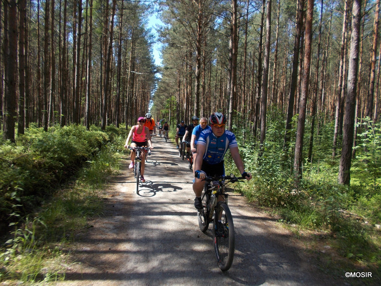 Elbląg, Wycieczka rowerowa po GreenVelo