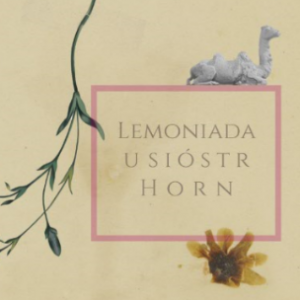 Elbląg, Wtorkowa lemoniada w muzeum Elbląg, Wtorkowa lemoniada w muzeum