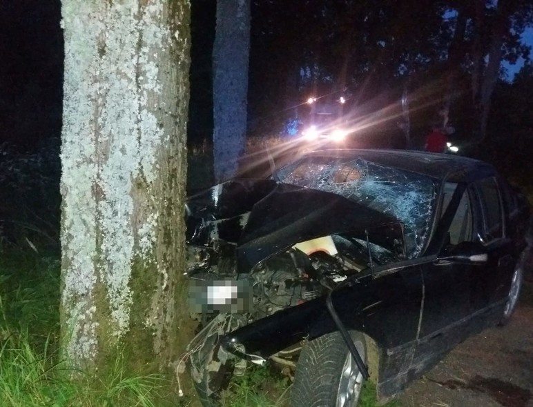 Elbląg, BMW uderzył w drzewo