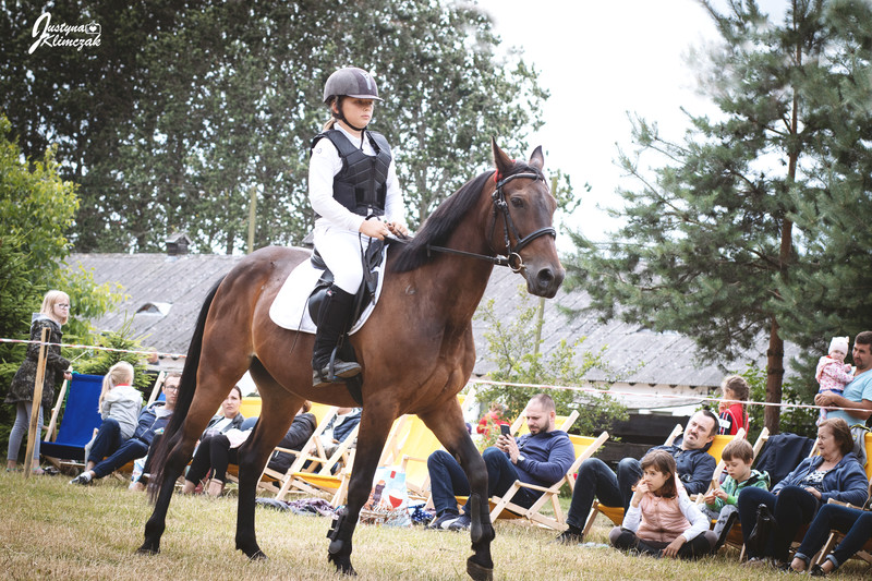 Elbląg, Pony Cup. Sezon trzeci Elbląg, Pony Cup. Sezon trzeci