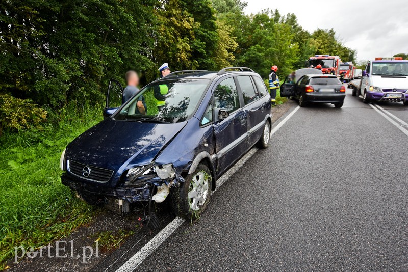 Elbląg, W deszczu wypadli z drogi