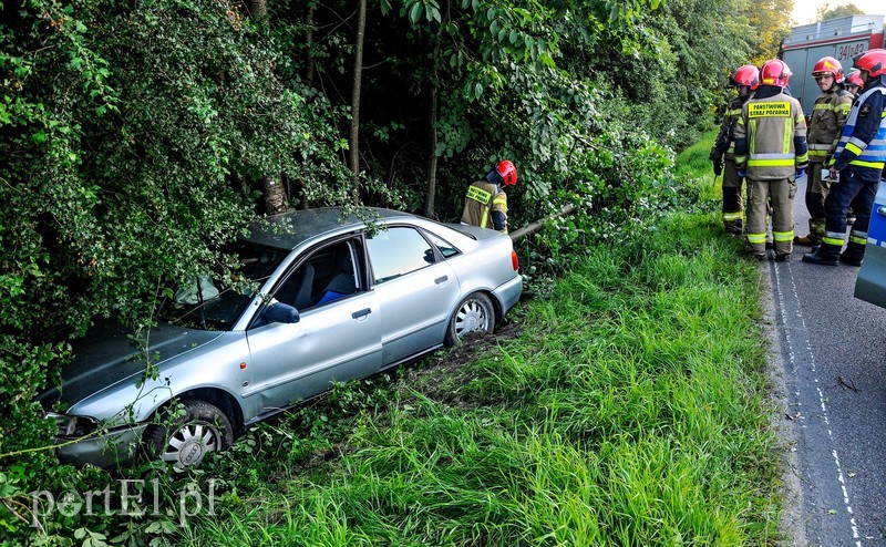 Elbląg, Pijany i bez uprawnień wjechał do rowu