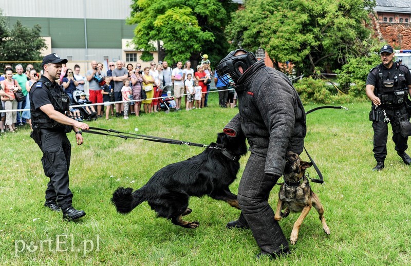 Elbląg, Zabawa z policjantami