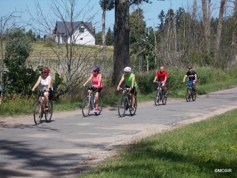 Elbląg, Rowerowa jazda aleją lipową