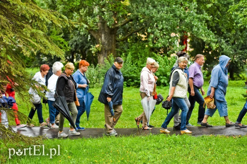 Elbląg, Elblążanie na kolejnym spacerzez z przewodnikiem