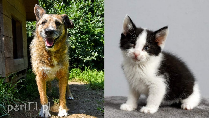 Elbląg, Kaja (po lewej) i Helenka