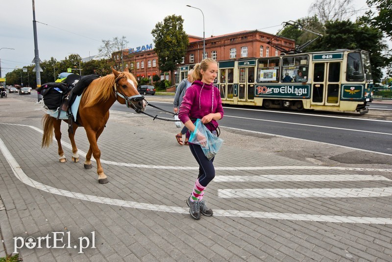 Elbląg, Paulina Guzowska wraz ze Spoxem