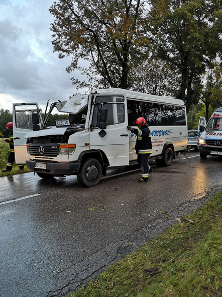 Elbląg, Drzewo spadło na busa, trzy osoby ranne