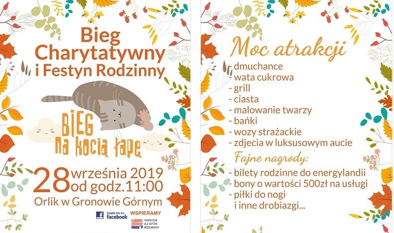 Elbląg, Pobiegną dla chorych zwierząt Elbląg, Pobiegną dla chorych zwierząt