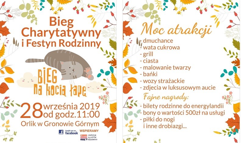 Elbląg, Pobiegną dla chorych zwierząt