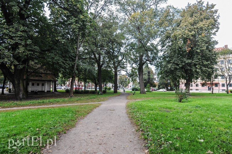 Elbląg, Tutaj staną lampy