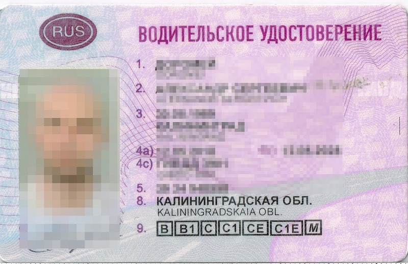 Elbląg, Rosjanin z fałszywym prawem jazdy