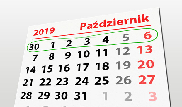 Elbląg, W tym tygodniu portEl poleca: Ptasi piknik i plaszówkowe rozgrywki Elbląg, W tym tygodniu portEl poleca: Ptasi piknik i plaszówkowe rozgrywki