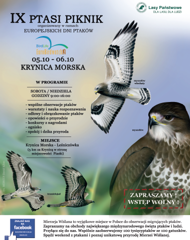 Elbląg, Weekend wśród ptaków, czyli ptasi piknik Elbląg, Weekend wśród ptaków, czyli ptasi piknik