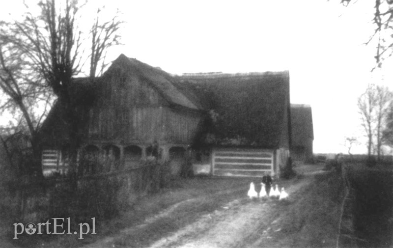 Elbląg, Dom podcieniowy w Buczyńcu przed wojną Elbląg, Dom podcieniowy w Buczyńcu przed wojną