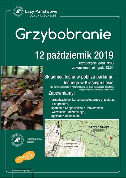 Elbląg, Grzybobranie z leśnikami Elbląg, Grzybobranie z leśnikami