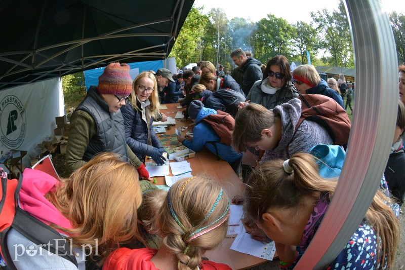 Elbląg, Ptasi piknik za nami