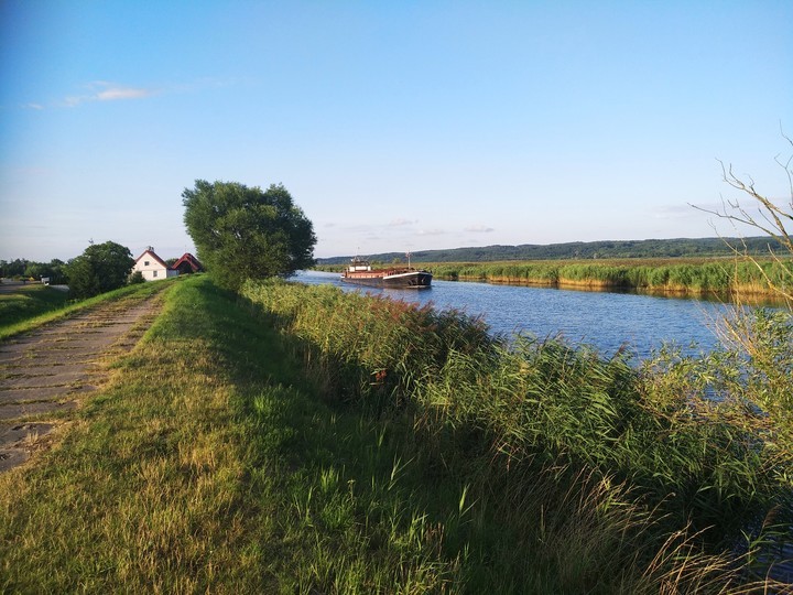 Elbląg, Fotka Miesiąca, Żuławy, sierpień 2019, Batorowo