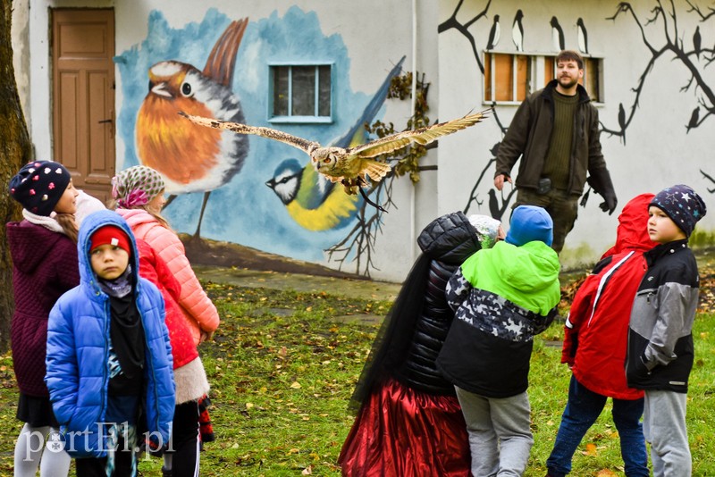 Elbląg, Puchacz Bob w akcji