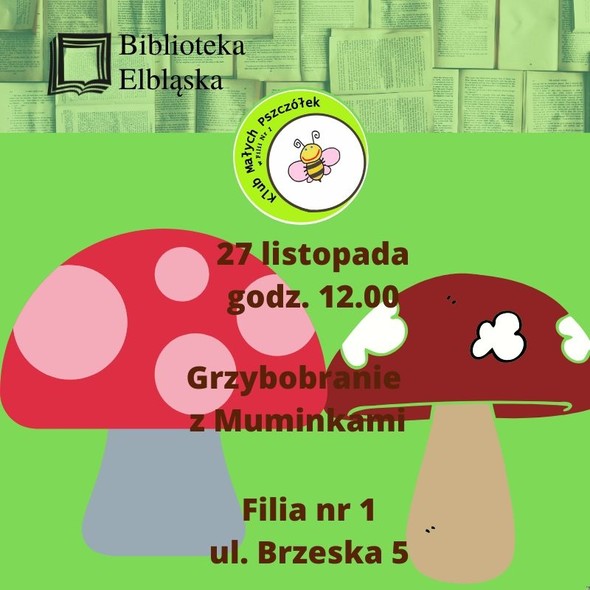 Elbląg, Grzybobranie z Muminkami Elbląg, Grzybobranie z Muminkami