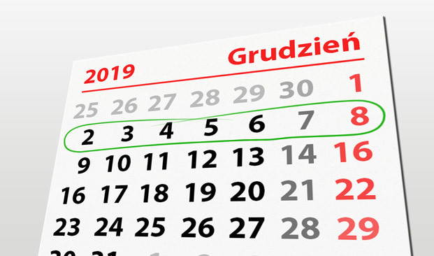 Elbląg, W tym tygodniu portEl poleca: rozświetlenie choinki i premierę w teatrze