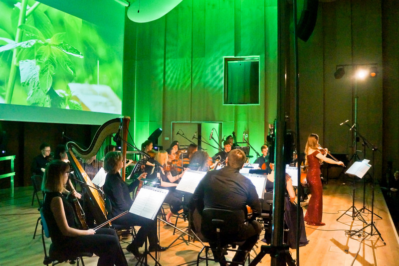 Elbląg, Vivaldi, jakiego nie znacie Elbląg, Vivaldi, jakiego nie znacie