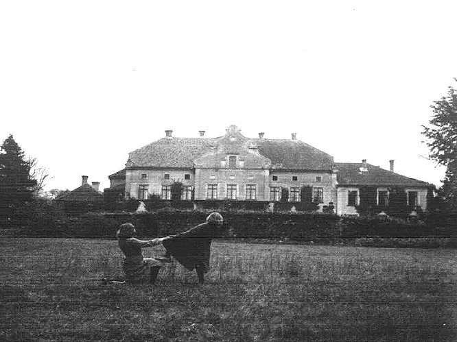 Elbląg, Pałac w Januszewie przed wojną
