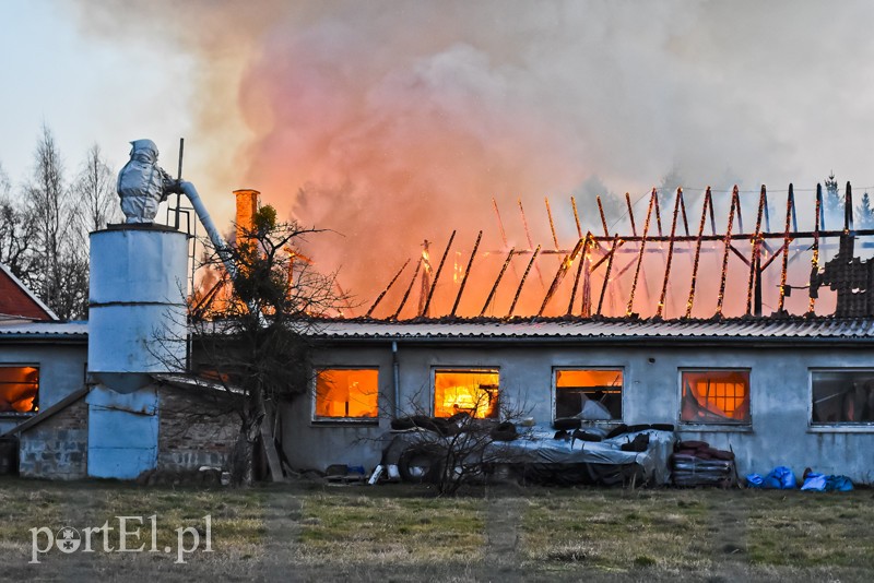 Elbląg, Spłonęła stolarnia w Dąbrowie, z ogniem walczyło około 30 strażaków