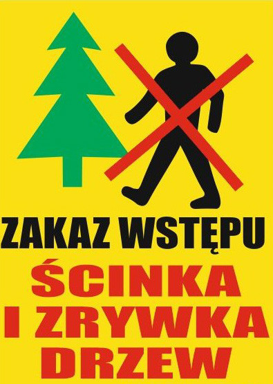 Elbląg, Te szlaki są częściowo zamknięte. W lesie trwają cięcia