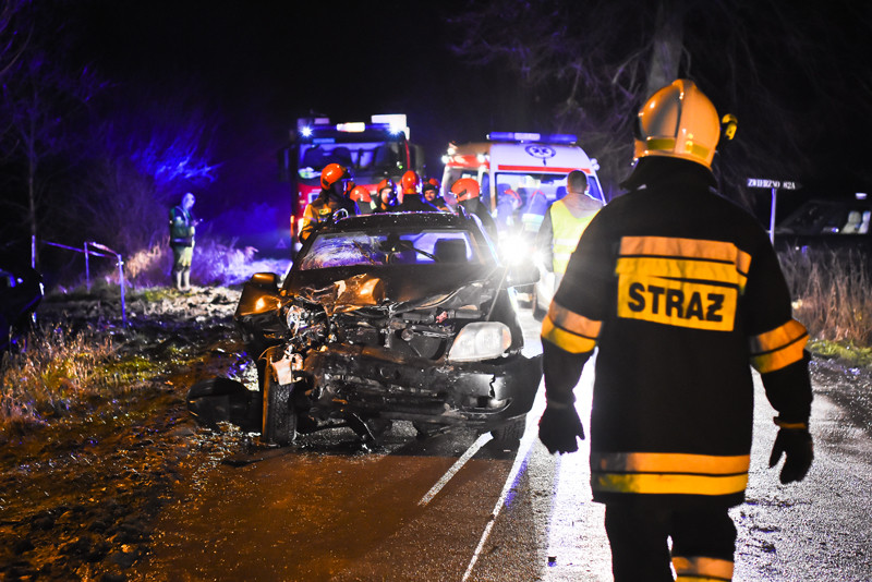 Elbląg, Uderzył w auto stojące na poboczu