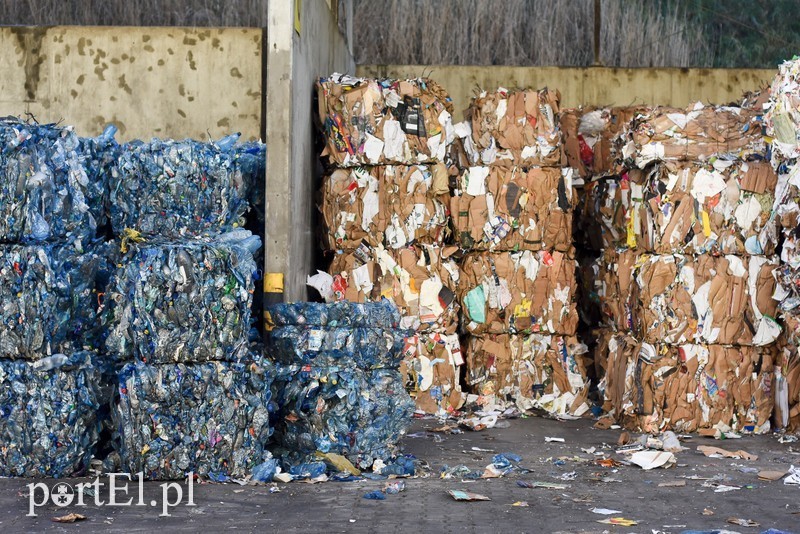 Elbląg, Miasto przeprowadzi kampanię informacyjną na temat segregacji śmieci