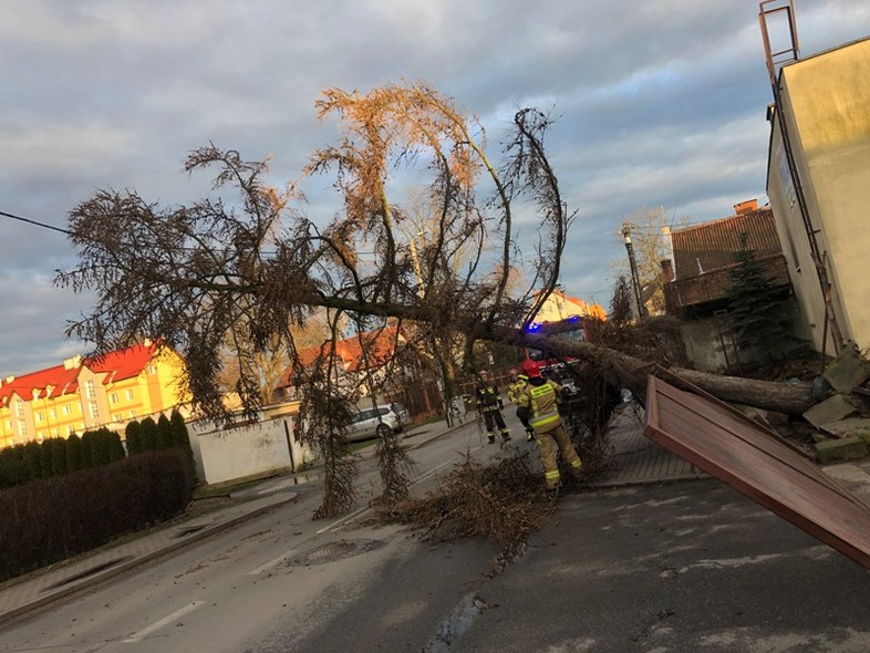 Elbląg, Silny wiatr i działania braniewskich strażaków