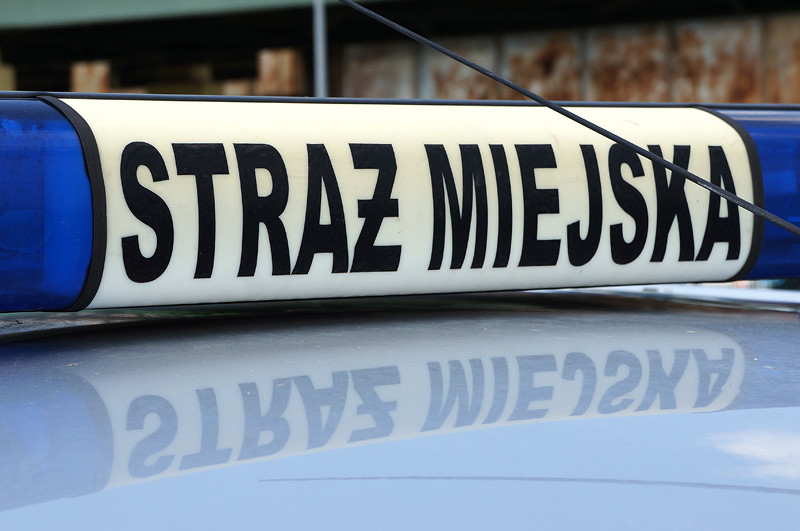 Elbląg, Straż Miejska ogranicza przyjmowanie zgłoszeń interwencyjnych Elbląg, Straż Miejska ogranicza przyjmowanie zgłoszeń interwencyjnych