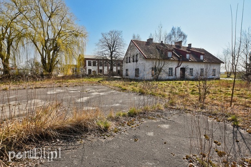 Elbląg, Miasto chce sprzedać działkę przy ul. Lotniczej